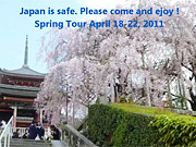 Tour in Japan April, 2011 Pic.