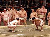 Sumo Wrestling Pic.