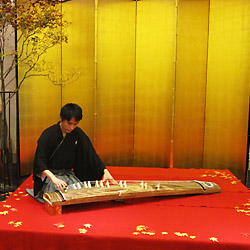 Koto Pic.