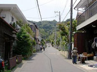 The way of Kosokuji Temple Pic.