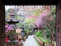 Ankokuron-ji Temple Pic.