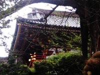 Tsurugaoka Hachimangu Shrine Pic.