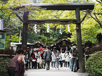 Nonomiya Shrine Pic.
