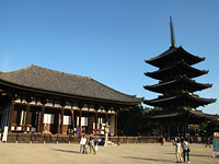 興福寺画像